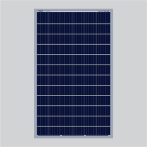 image 2023 10 11T04 07 43 520Z